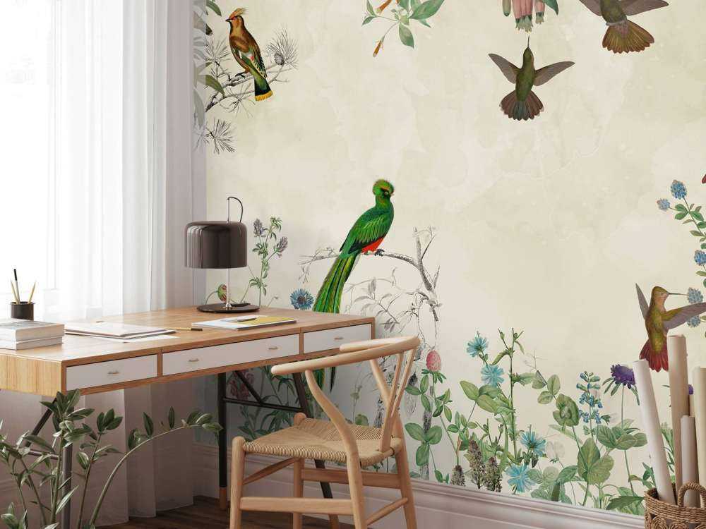 Campi di Uccelli Colorati