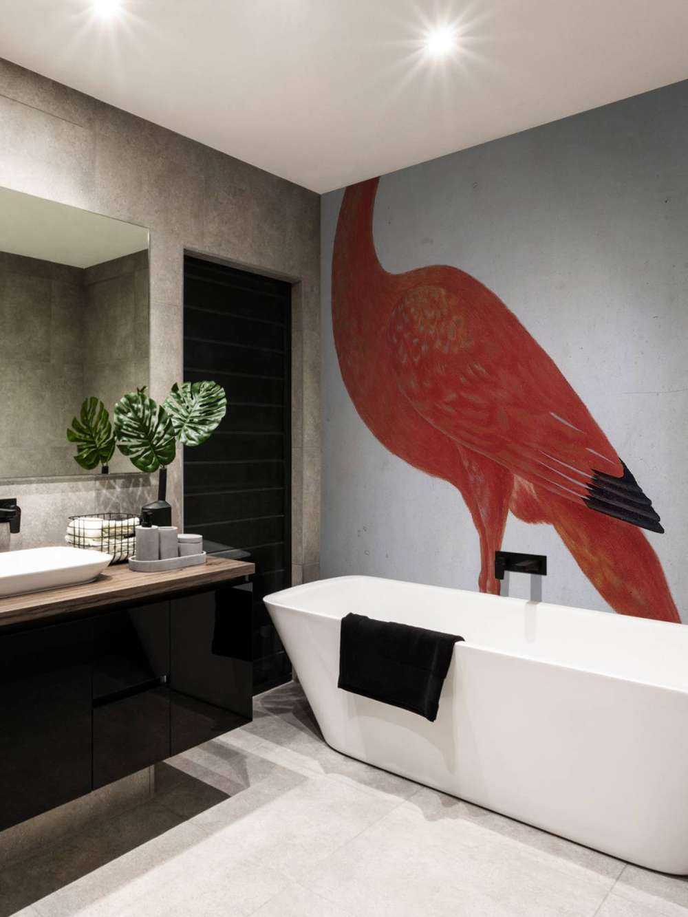 Ibis rosso con uovo