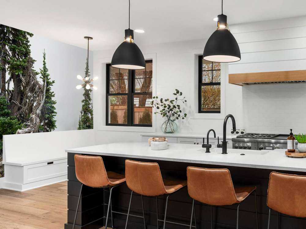 Alberi e vecchi alberi 