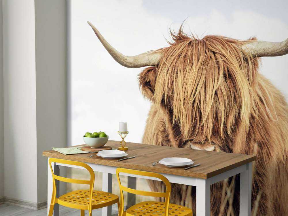 Primo piano di un Highlander scozzese