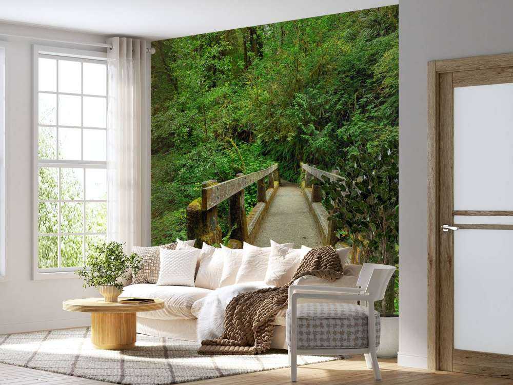 Un ponte nella foresta