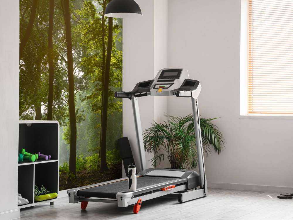 Foresta al sole del mattino