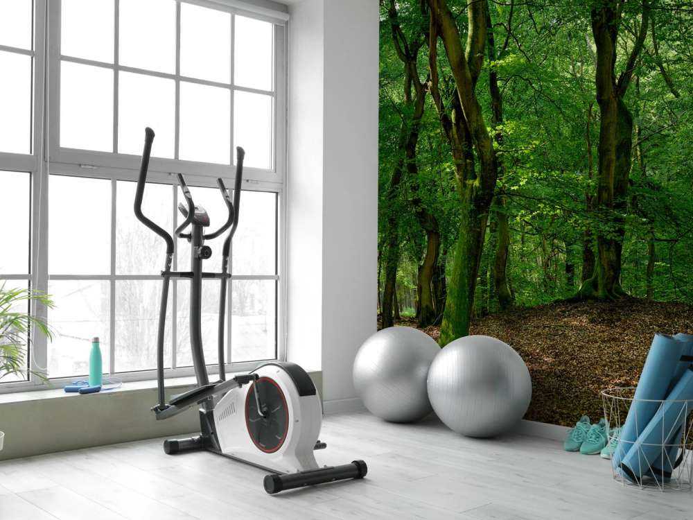 Alberi con foglie verdi 