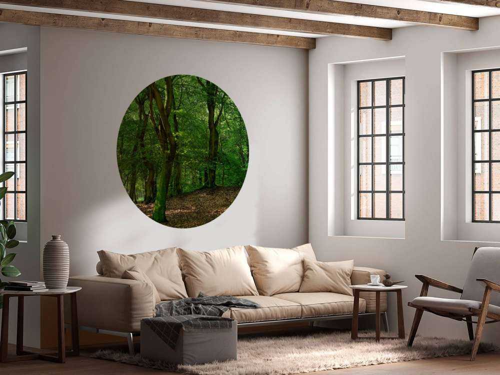 Alberi con foglie verdi 