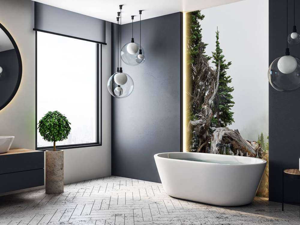 Alberi e vecchi alberi 