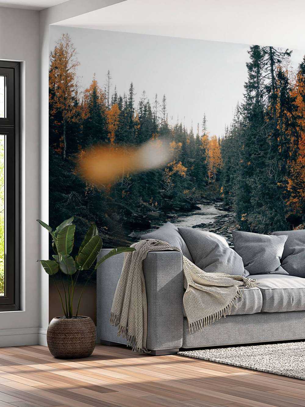 Foresta autunnale incantata