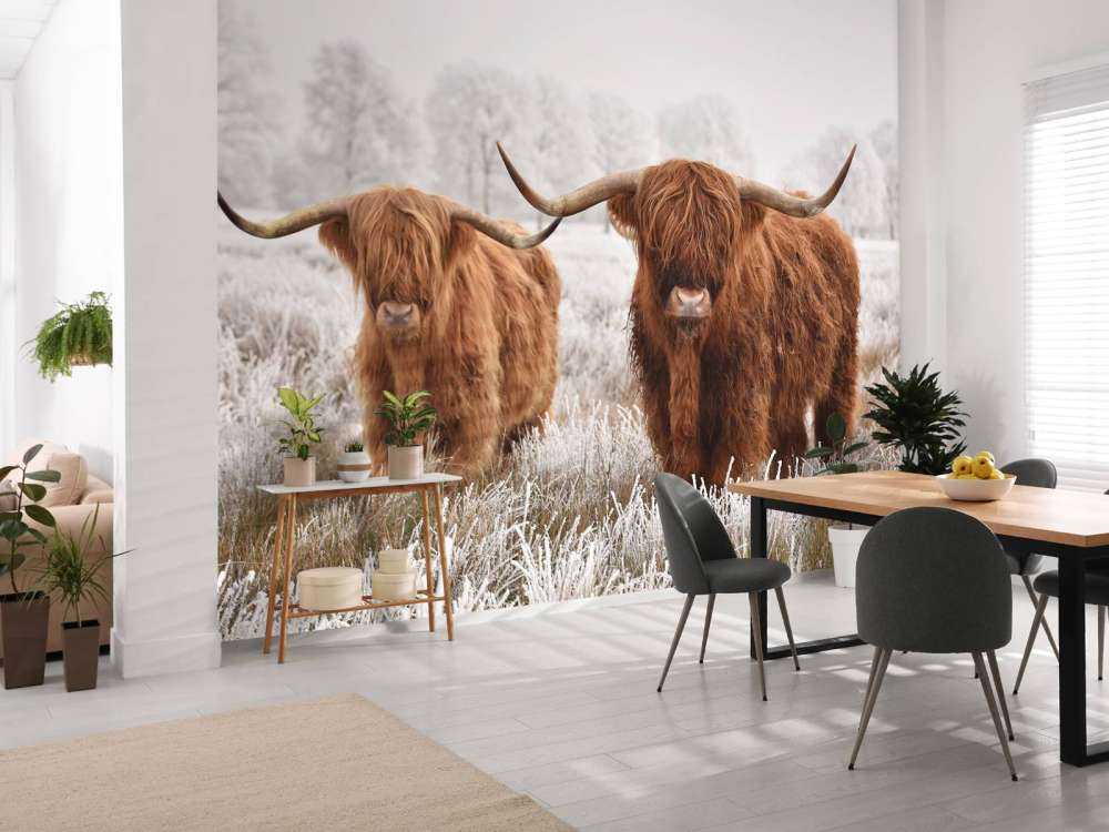 Highlander Invernale