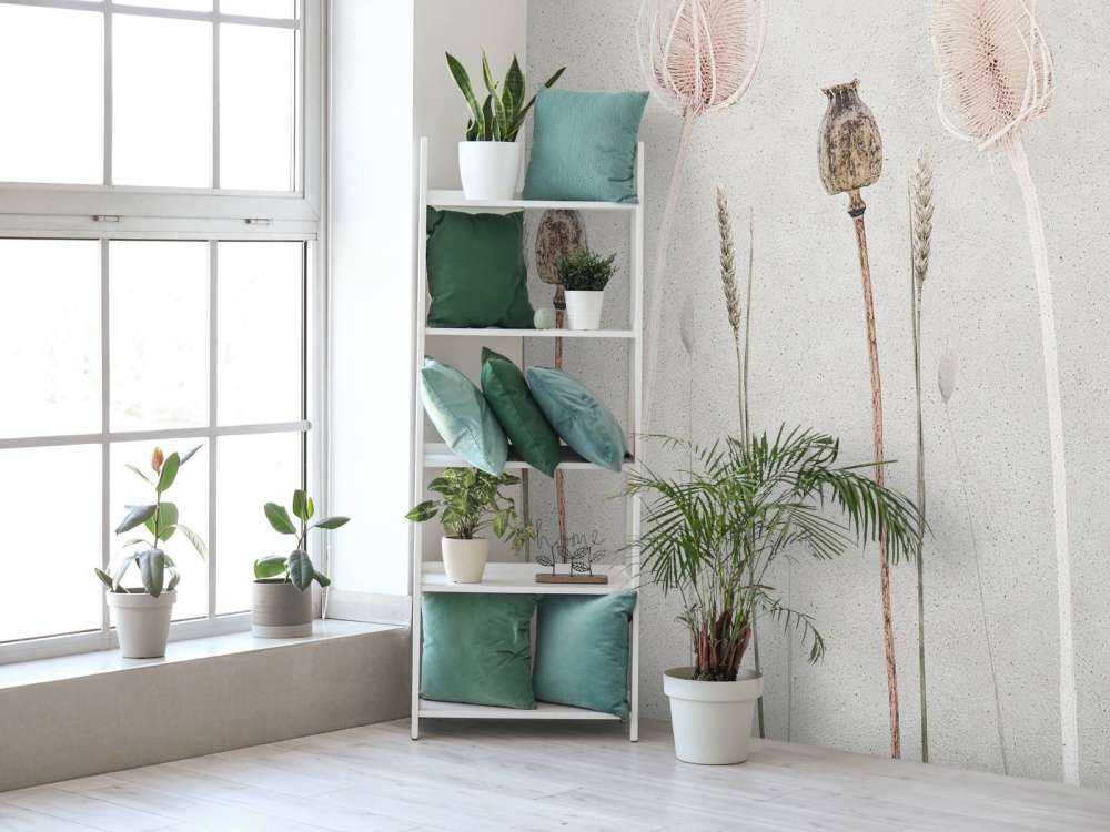 Pace di campo Texture