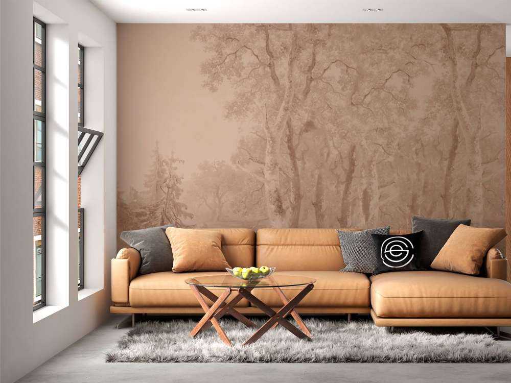 Paesaggio Forestale Terra Panorama