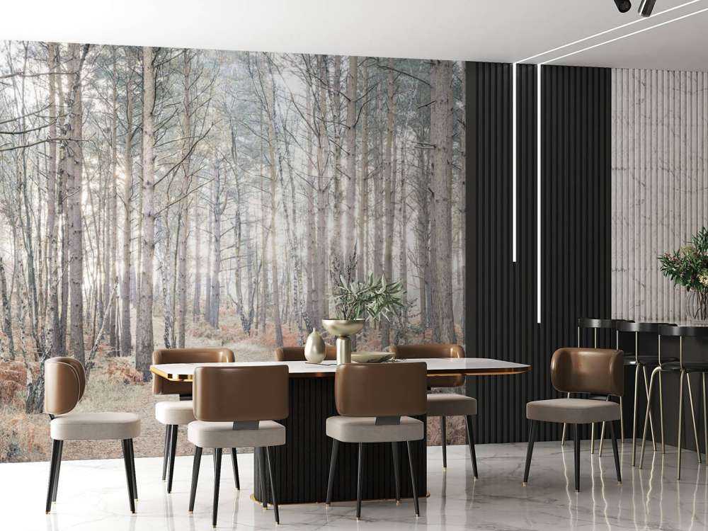 Sentiero sabbioso attraverso la foresta