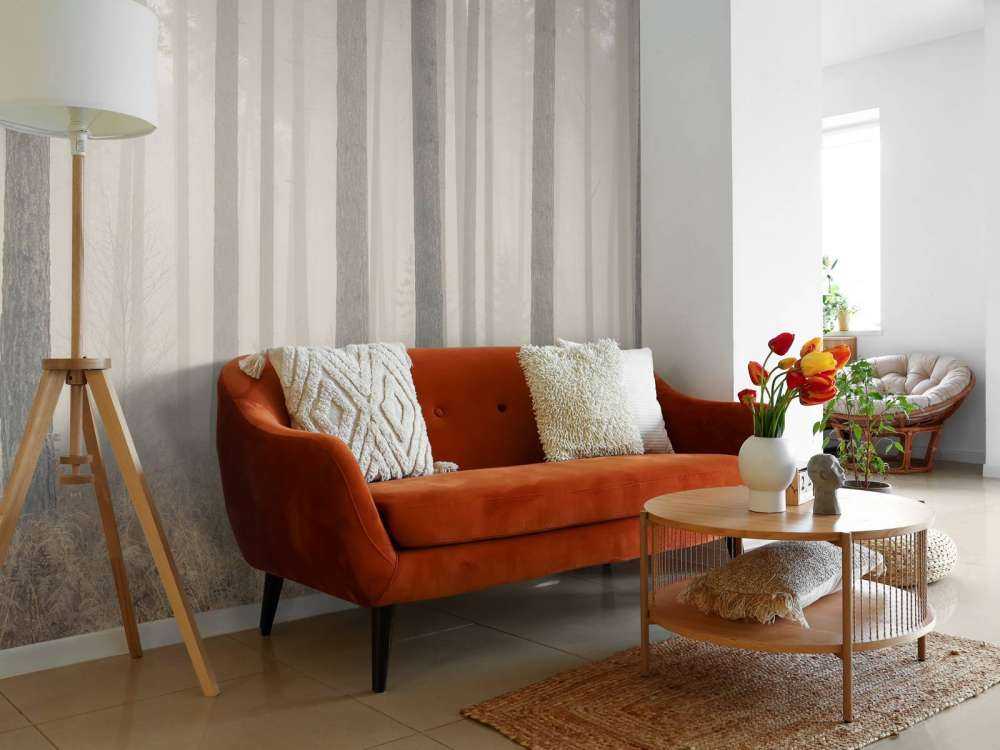 Foresta misteriosa e nebbiosa