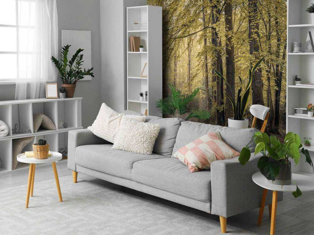 Sentiero nel verde della foresta