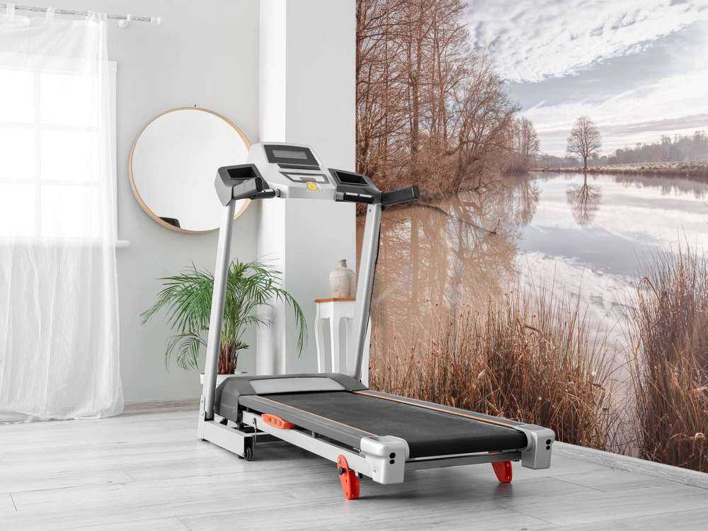 Stagno nella foresta