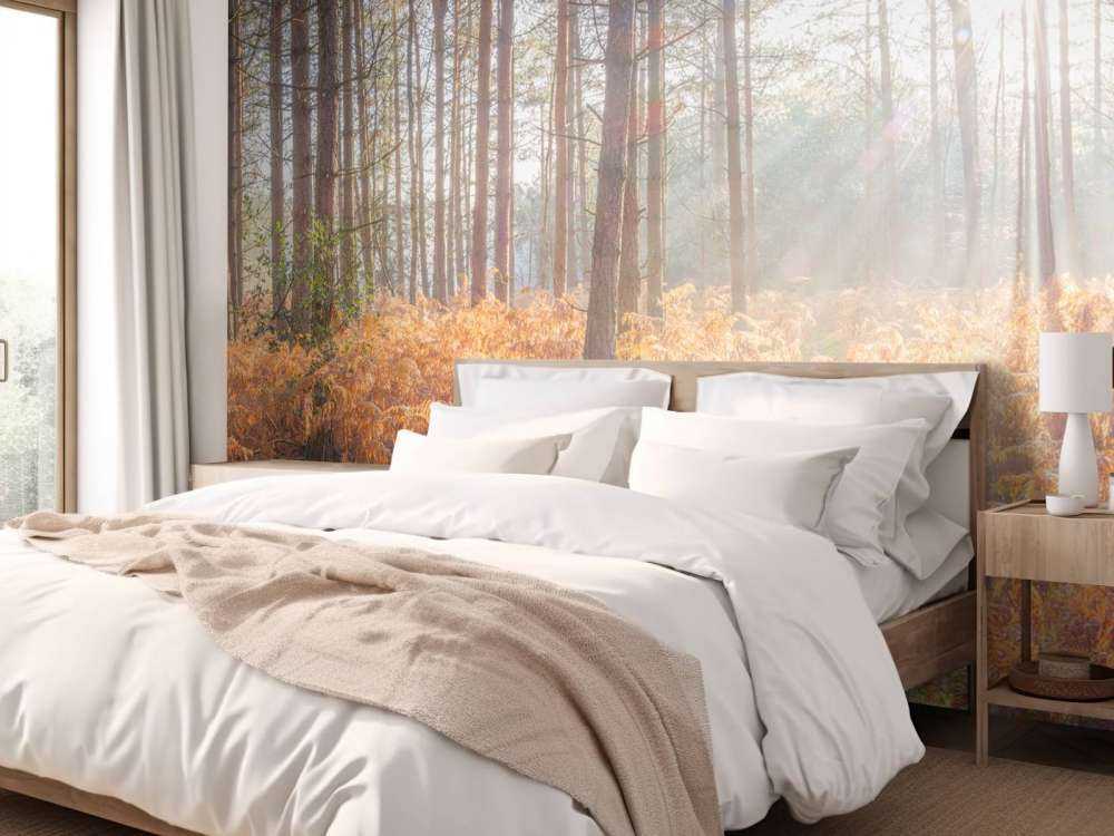 Raggi di sole attraverso la foresta