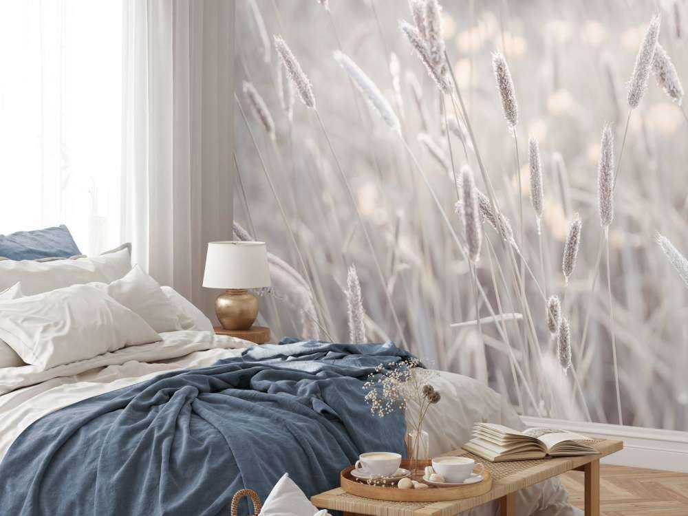 Primo piano di un prato