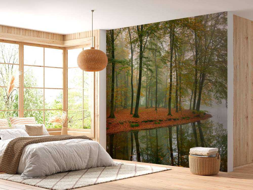 Riflessione degli alberi nello stagno