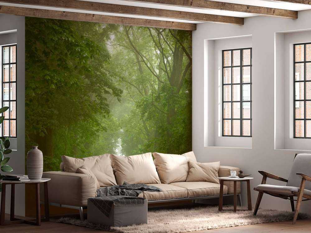 Foresta verde con sentiero nebbioso