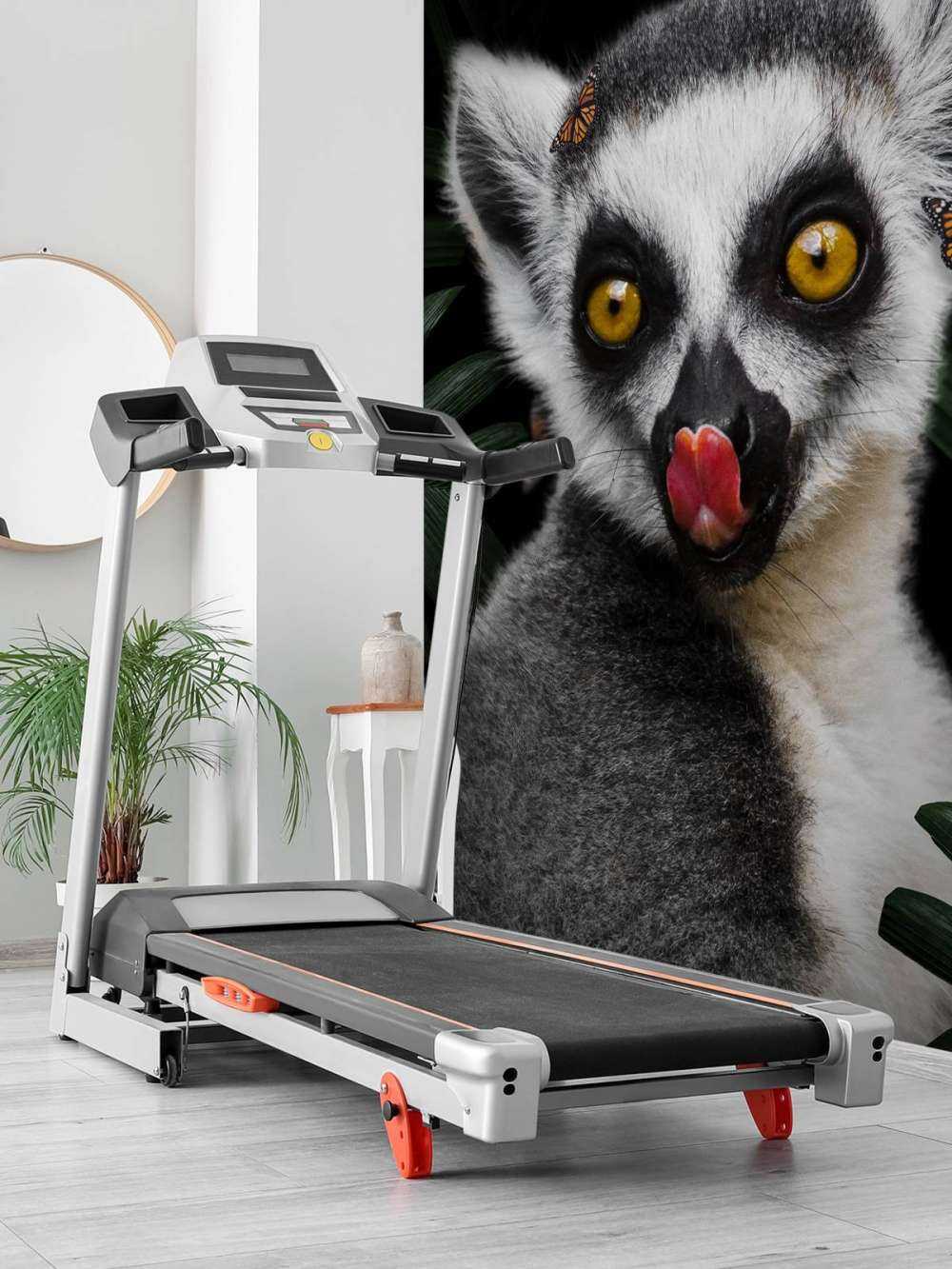 Jungle Lemur Portret