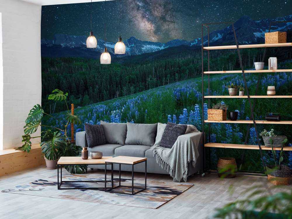 Milky Way over Lupine Slope