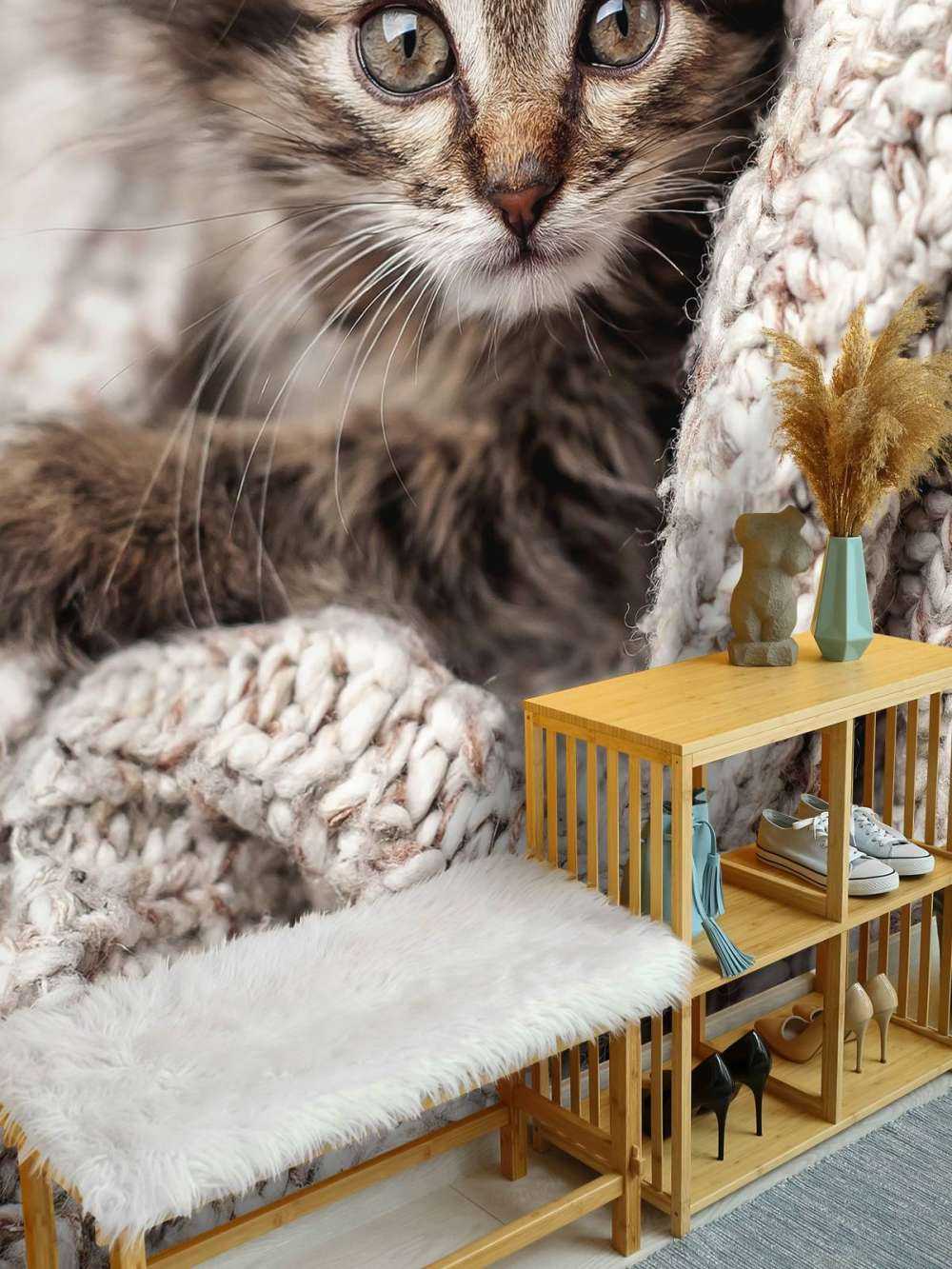 Gatto in una coperta