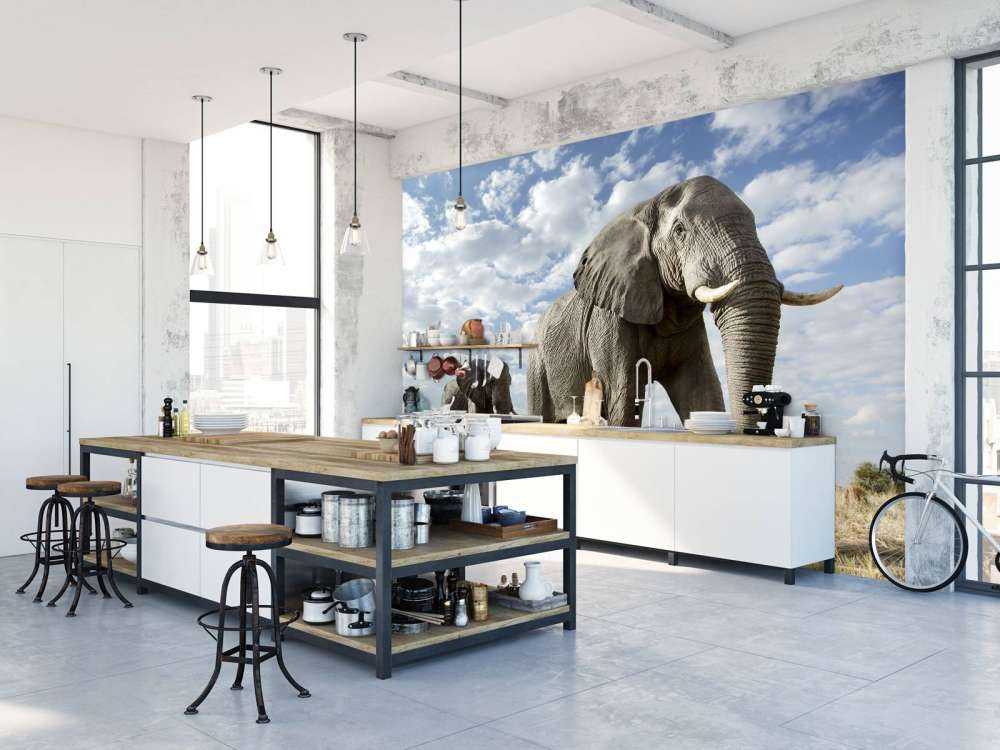 Elefanti di passaggio