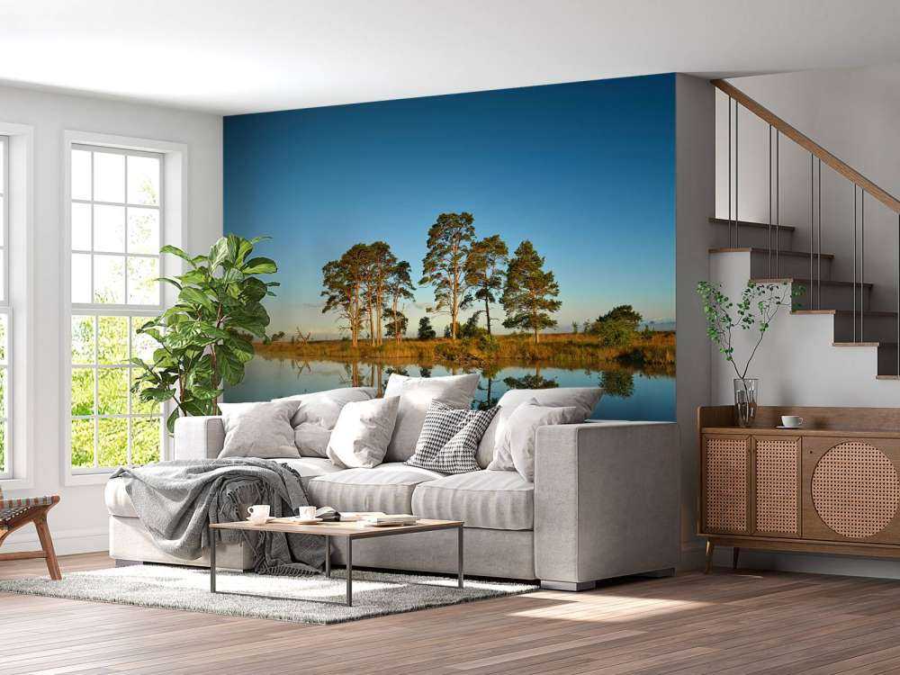 Riflessione nel lago della foresta