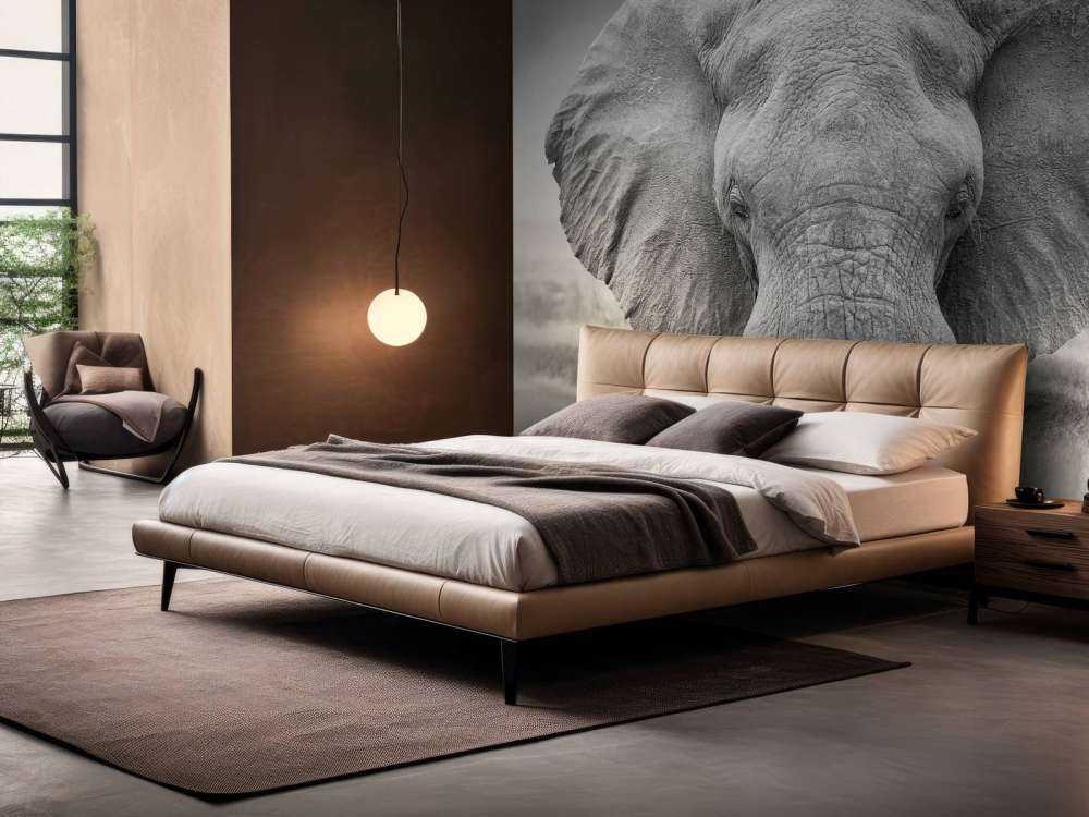 Elefante bianco e nero