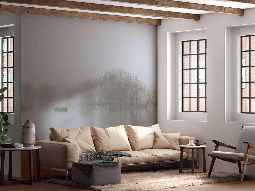 Nebbia nella riserva naturale