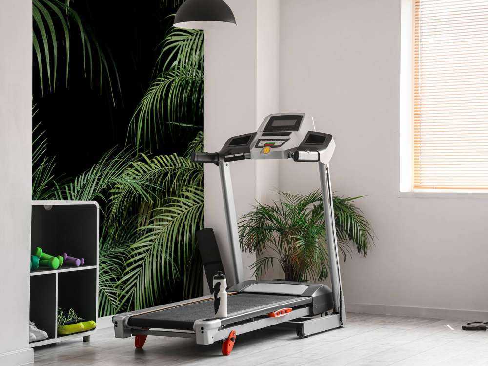 Pianta con foglie verdi