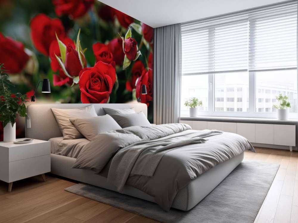 Cespuglio di rose rosse