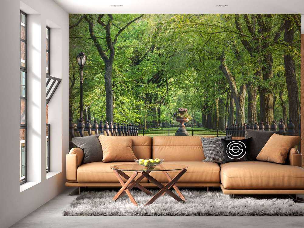 Sentiero a Central Park