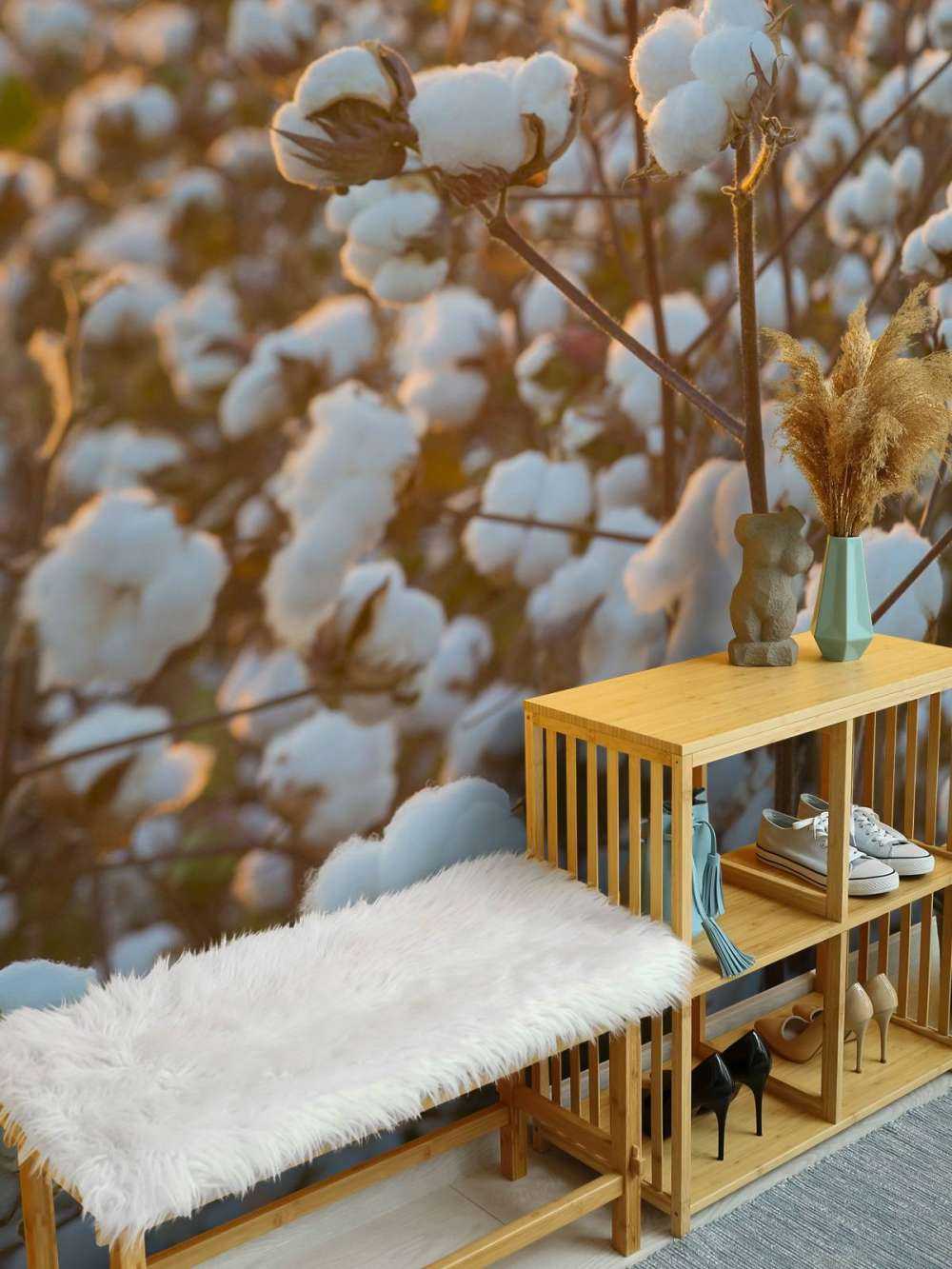 Campo di cotone con cielo giallo dorato