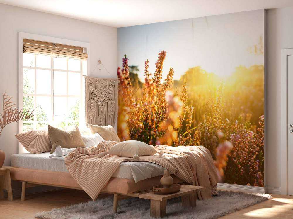 Impianto di erica da vicino