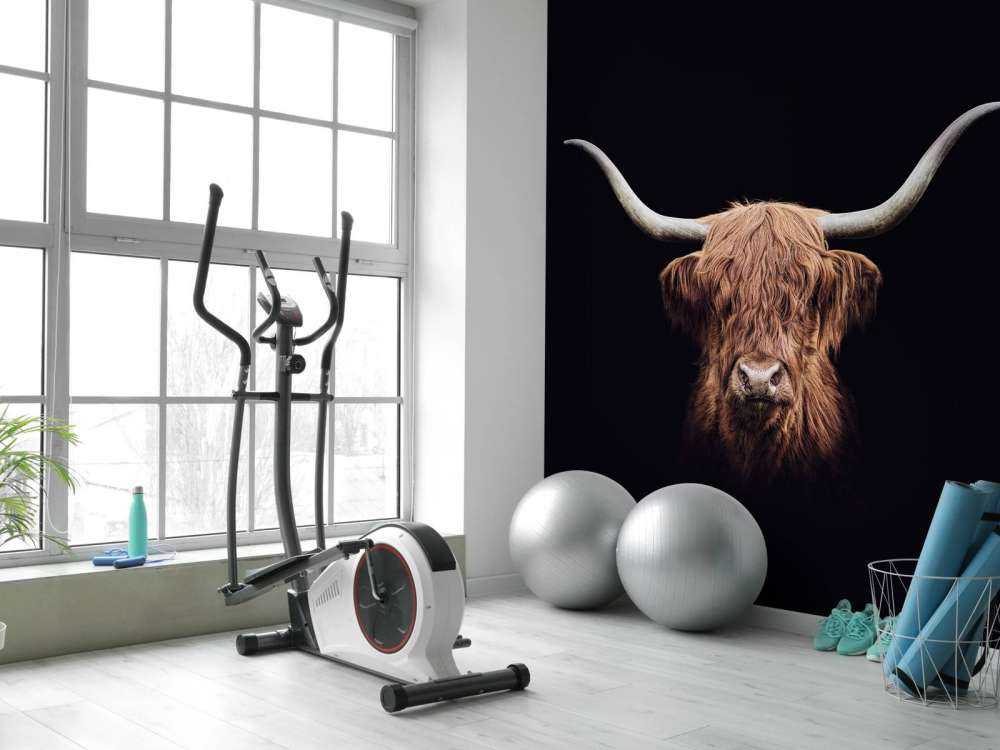 Highlander scozzese d'epoca