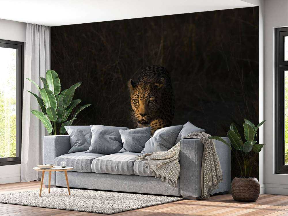 Leopardo con tramonto