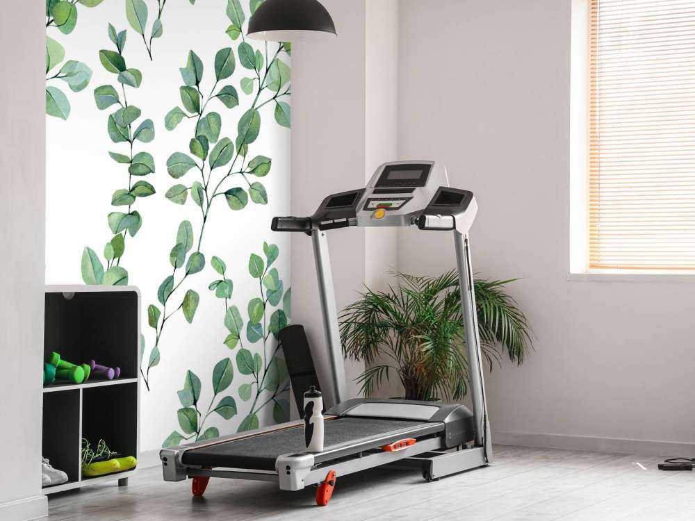 Foglie e rami acquerellati