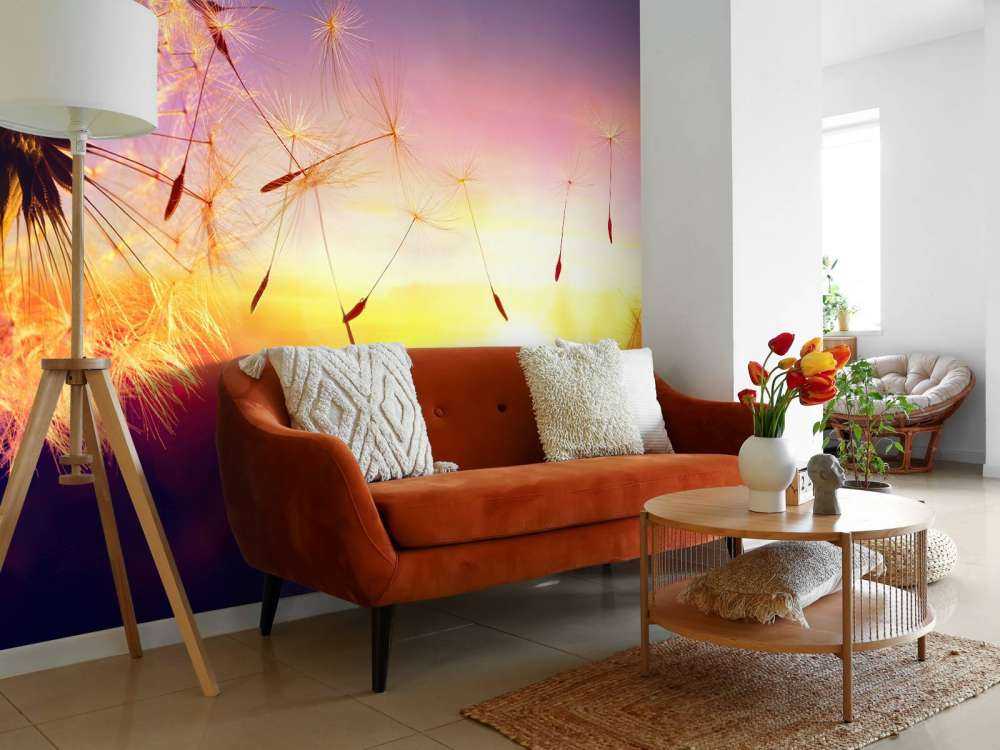 Tarassaco al tramonto