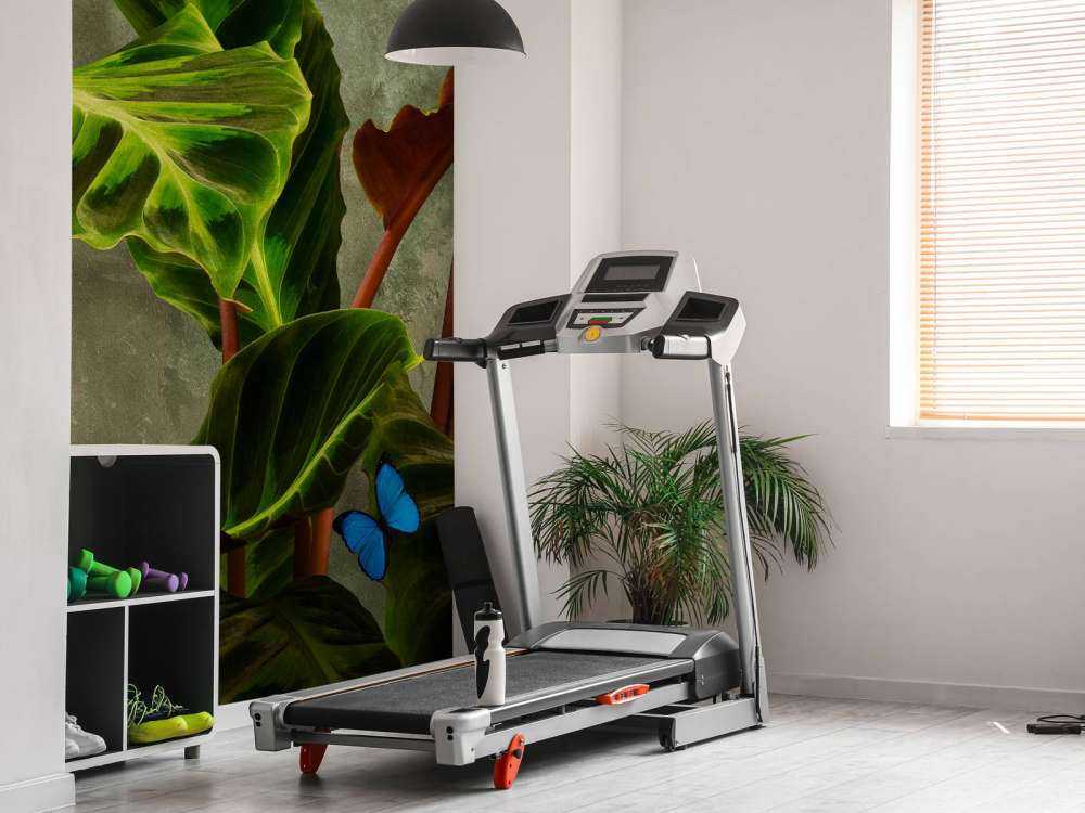 Pianta verde con farfalle