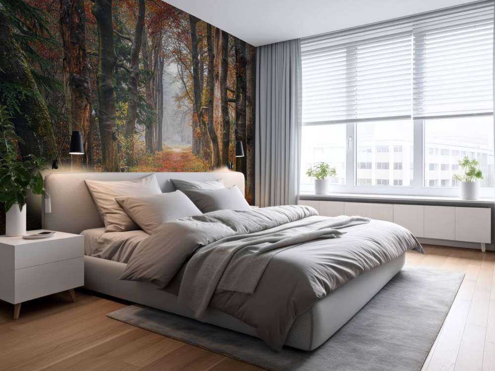 Sentiero forestale con alberi secolari