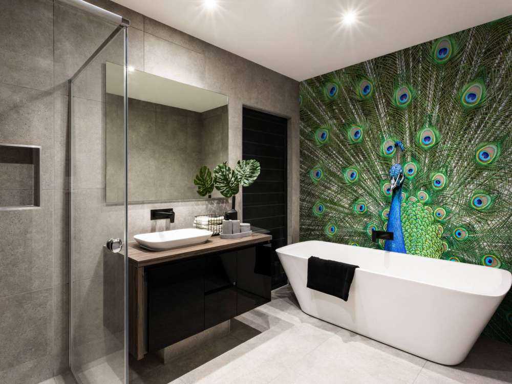 Pavone con piume dilatate