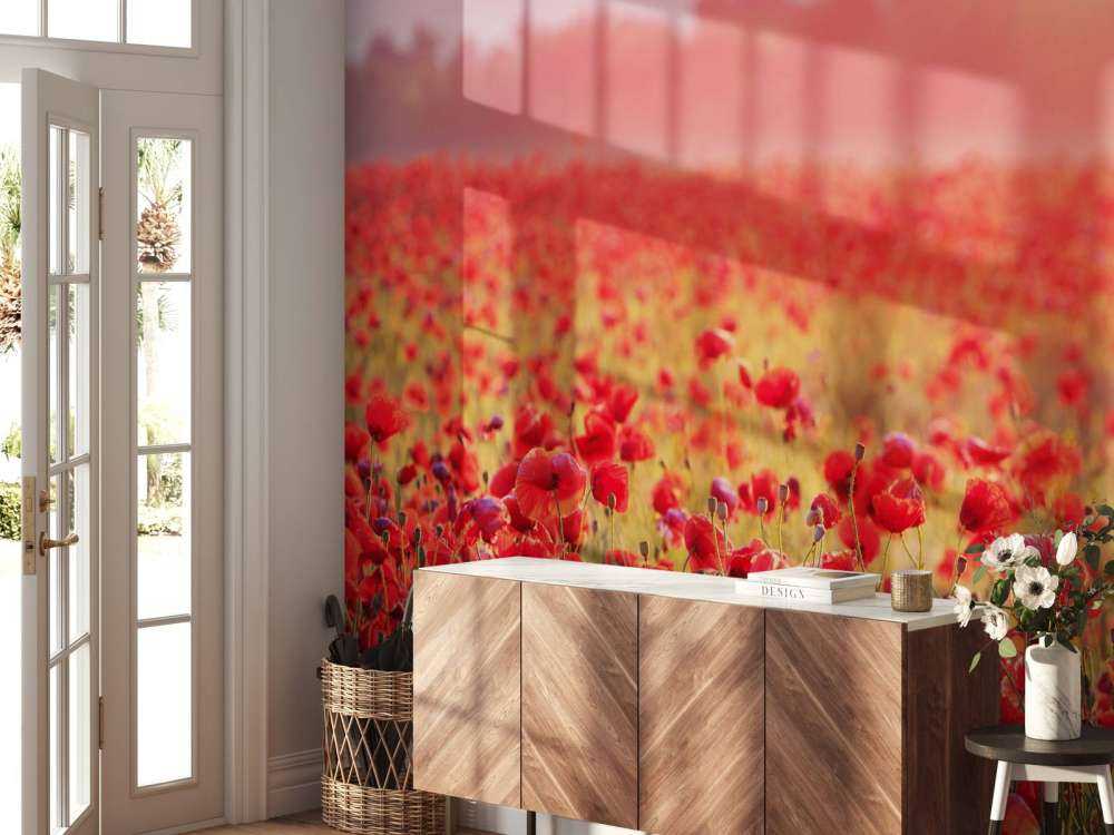 Campo pieno di papaveri