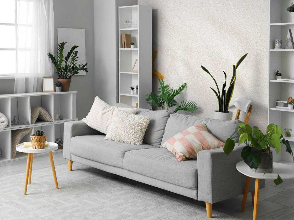 Stella marina su sabbia bianca