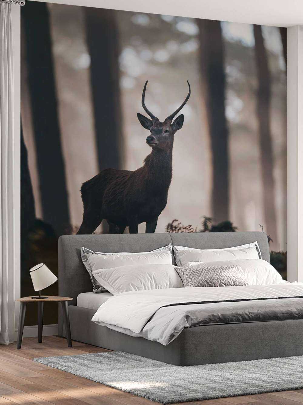 Cervo vicino agli alberi