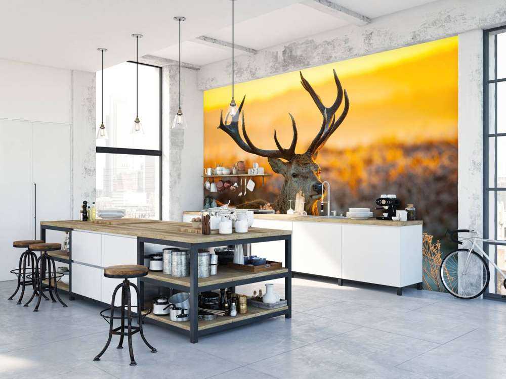 Cervi nella riserva naturale