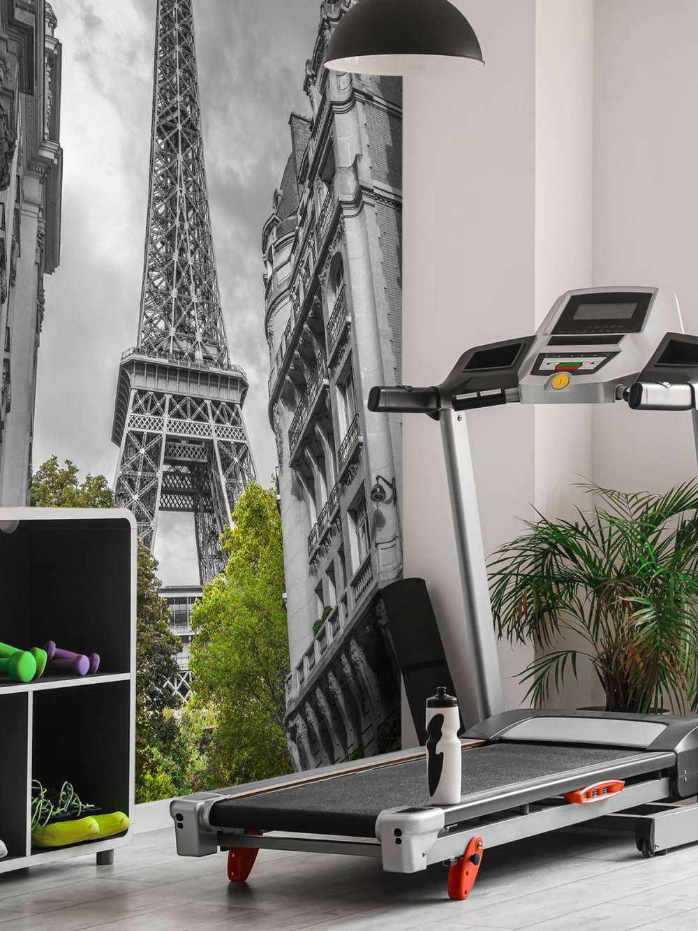 Torre Eiffel in bianco e nero