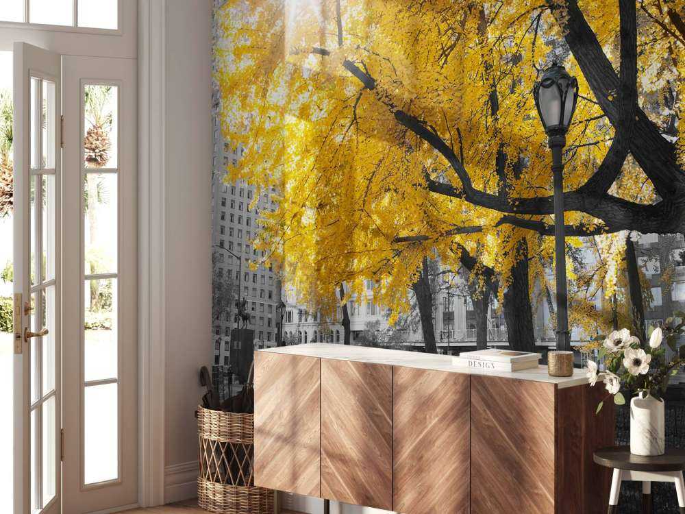 Un sentiero attraverso Central Park