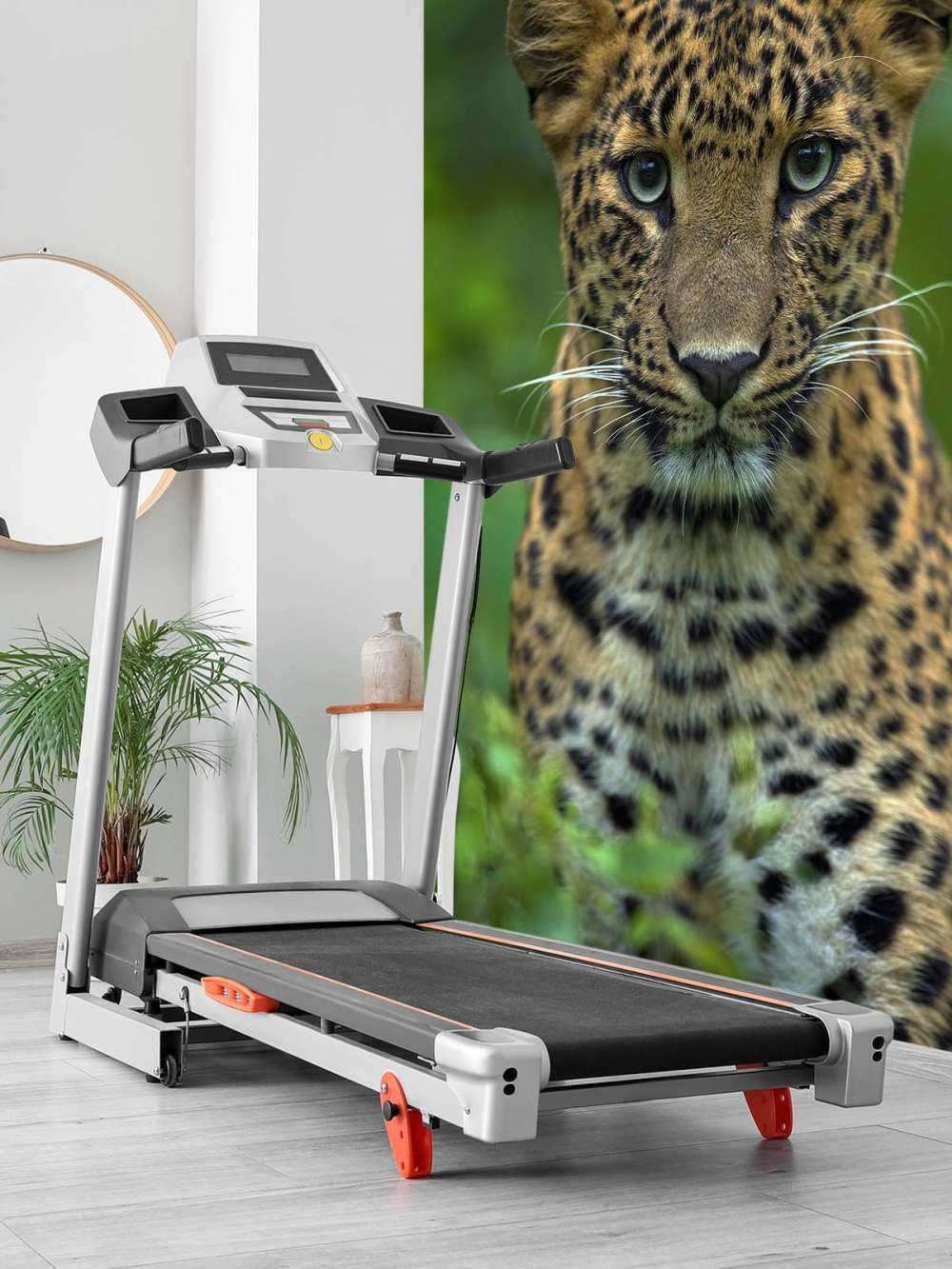 Focalizzato leopardo