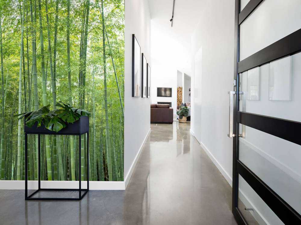 Foresta di bambù verde