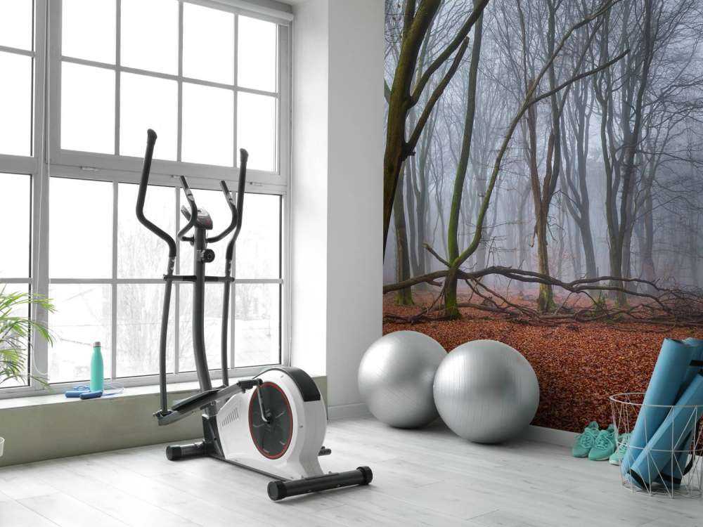 Misteriosa foresta nebbiosa