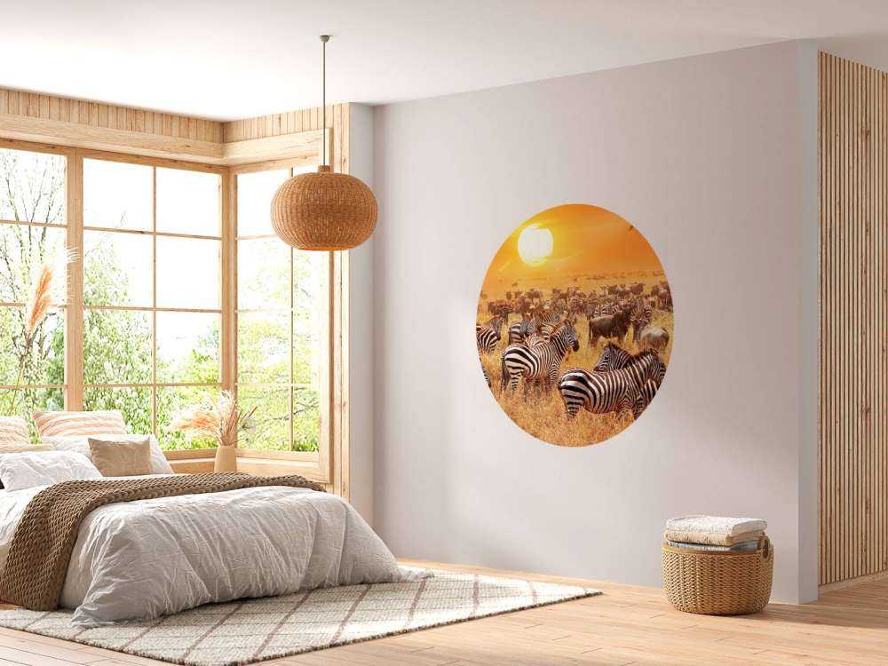 Savana sole con zebre